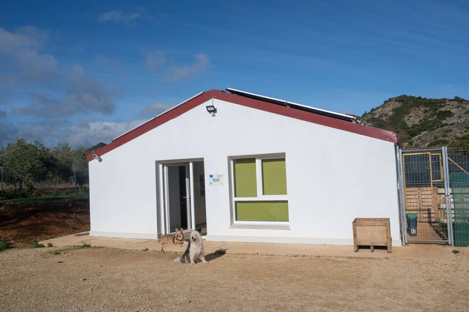 Edificio blanco de Kan-gurea con tejado granate y dos perros tumbados tranquilos en la entrada.